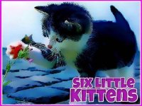 Kitten Jigsaw Puzzle Game
