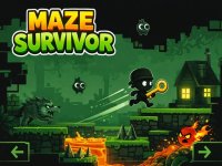 Maze Explorer Puzzle Platformer