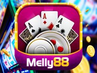 Spin Match Puzzle