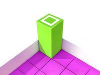 Color Flip Puzzle