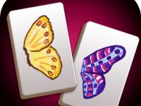 Butterfly Matching Puzzle