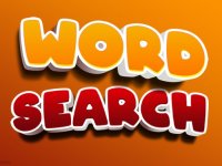 Word Search Puzzle Challenge