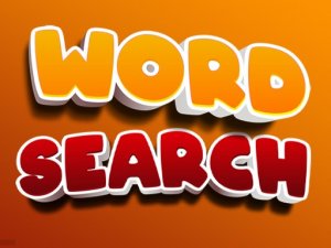 The Word Search Puzzle Game