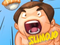 Sumo Arena Arcade Game