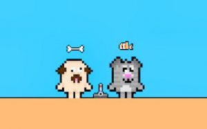 Cat and Dog Treasure Hunt